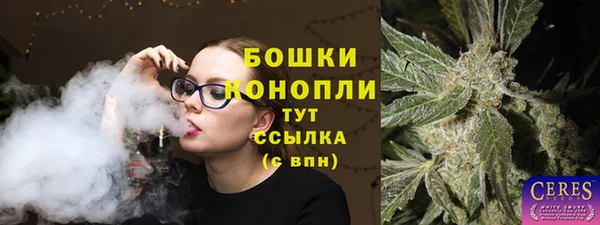 стаф Беломорск