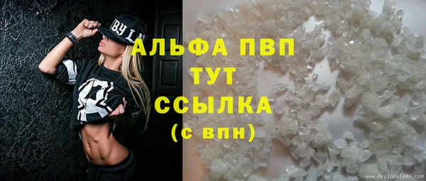 индика Балахна