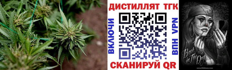 купить закладку Ижевск ТГК концентрат