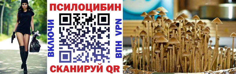 Галлюциногенные грибы мицелий  цены   Ижевск 